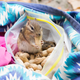 Must we hire thousands of chipmunks to solve this problem for us?